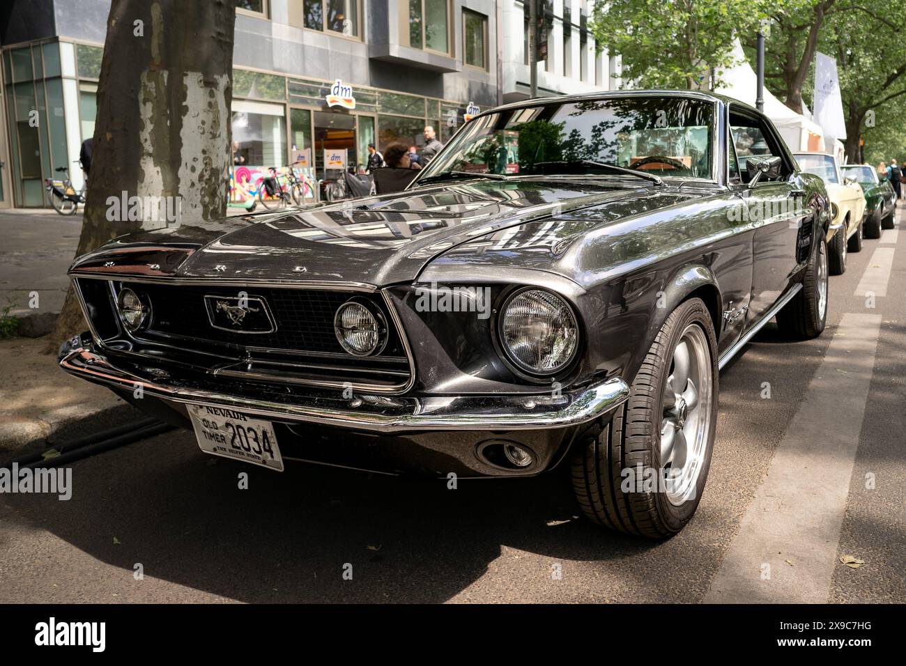 jagdish profile image